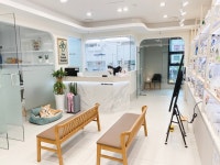 퍼스트동물병원