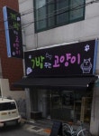 개밥주는고양이