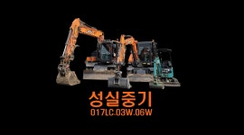 성실중기