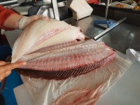 백사장수산물어시장