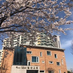 일산교회