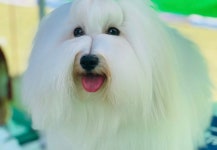 하트멜로디