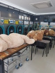 아쿠아워시 수원율천점