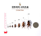 귀뚜라미무주A/S점 | 귀뚜라미샵