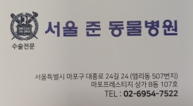 서울준동물병원