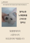 옥스그루밍