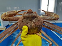 포항브라더수산