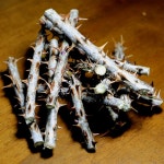 선비가가시오가피농장