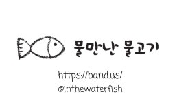 물만난물고기