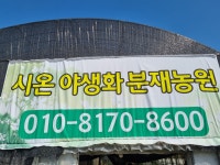 시온야생화분재농원