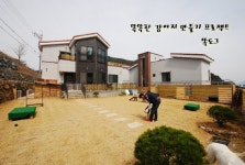 똑도그
