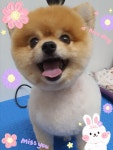 도기살롱