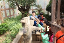 용인대범호태권도장