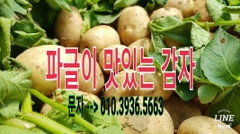 금수농장