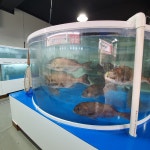 시장회센타