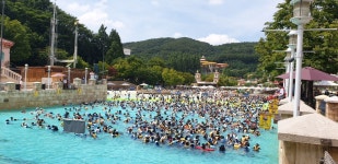 용인대범호태권도장