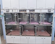 율하다나동물병원