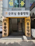 굿모닝동물병원
