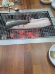 풍천민물대장어