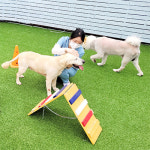 아이조아요양보호소 부산경남점