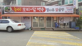 벌나무닭곰탕 본점