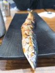 유디티수산