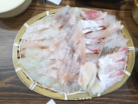 유디티수산
