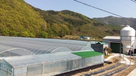 늘푸른우렁이농장