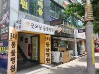 굿모닝동물병원