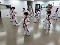 펀태권도 NBJ줄넘기