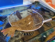 월드수산
