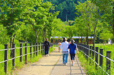 교동장독대마을회 영농조합법인