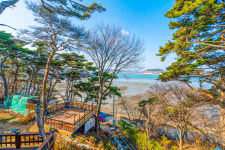 해솔향펜션