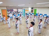 한반도태권도