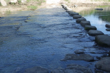 약수봉마을펜션