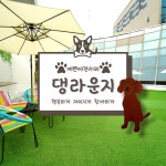 댕라운지