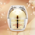 다줌 국제유통의신