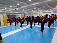 성신태권도