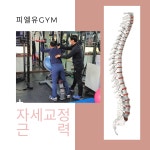 피엘유짐 PT