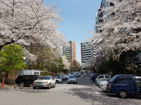 워커힐부동산공인중개사사무소