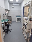 이로애견미용실