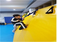 성신태권도