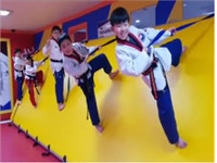성신태권도