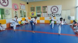 한국체대태권도장