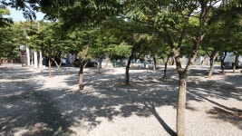 그린오토캠핑장
