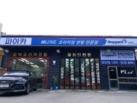 파이카솔루션