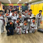 용인대백상태권도