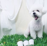 헤어컹컹
