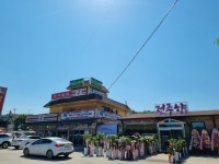 전주향