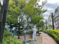 세솔나무병원